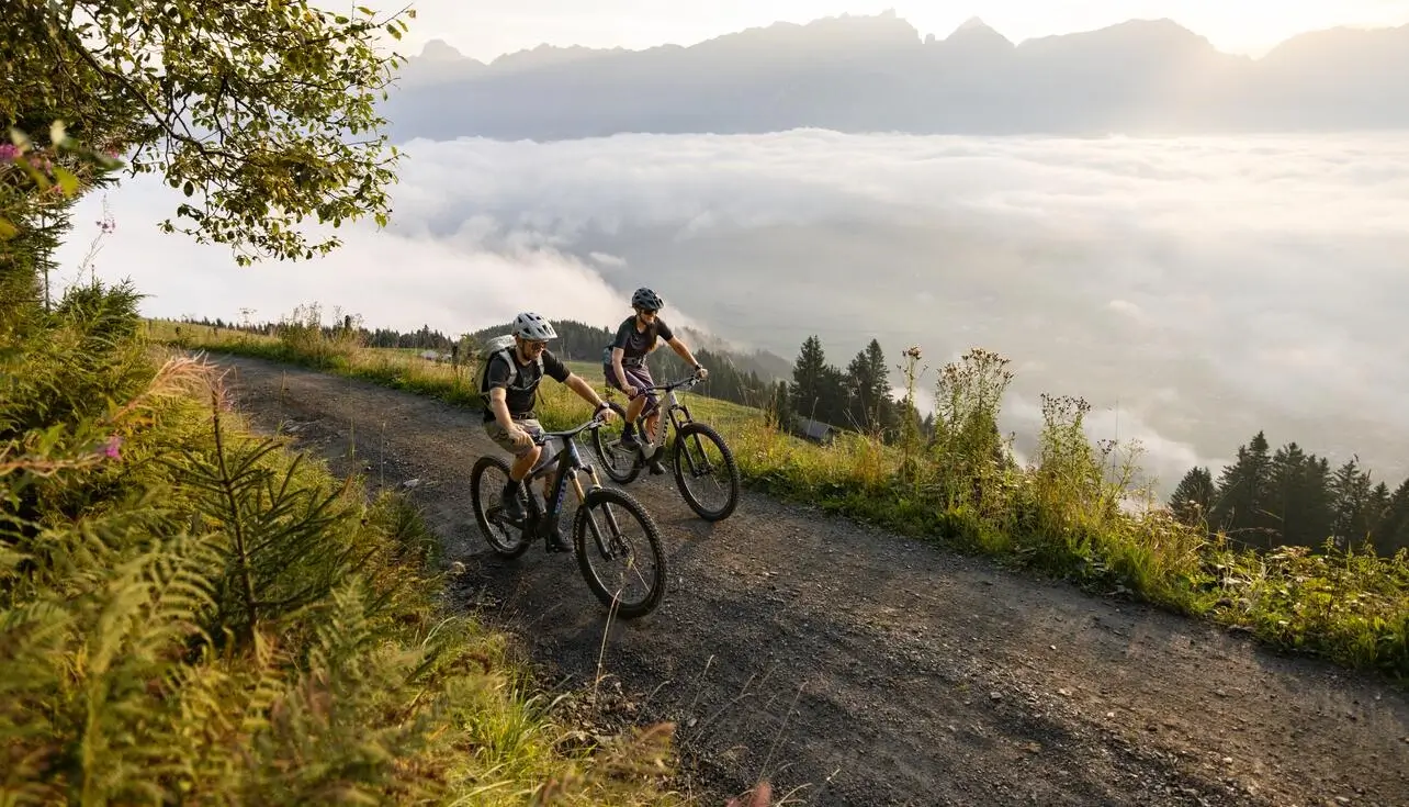 Група с електрически велосипеди в планината