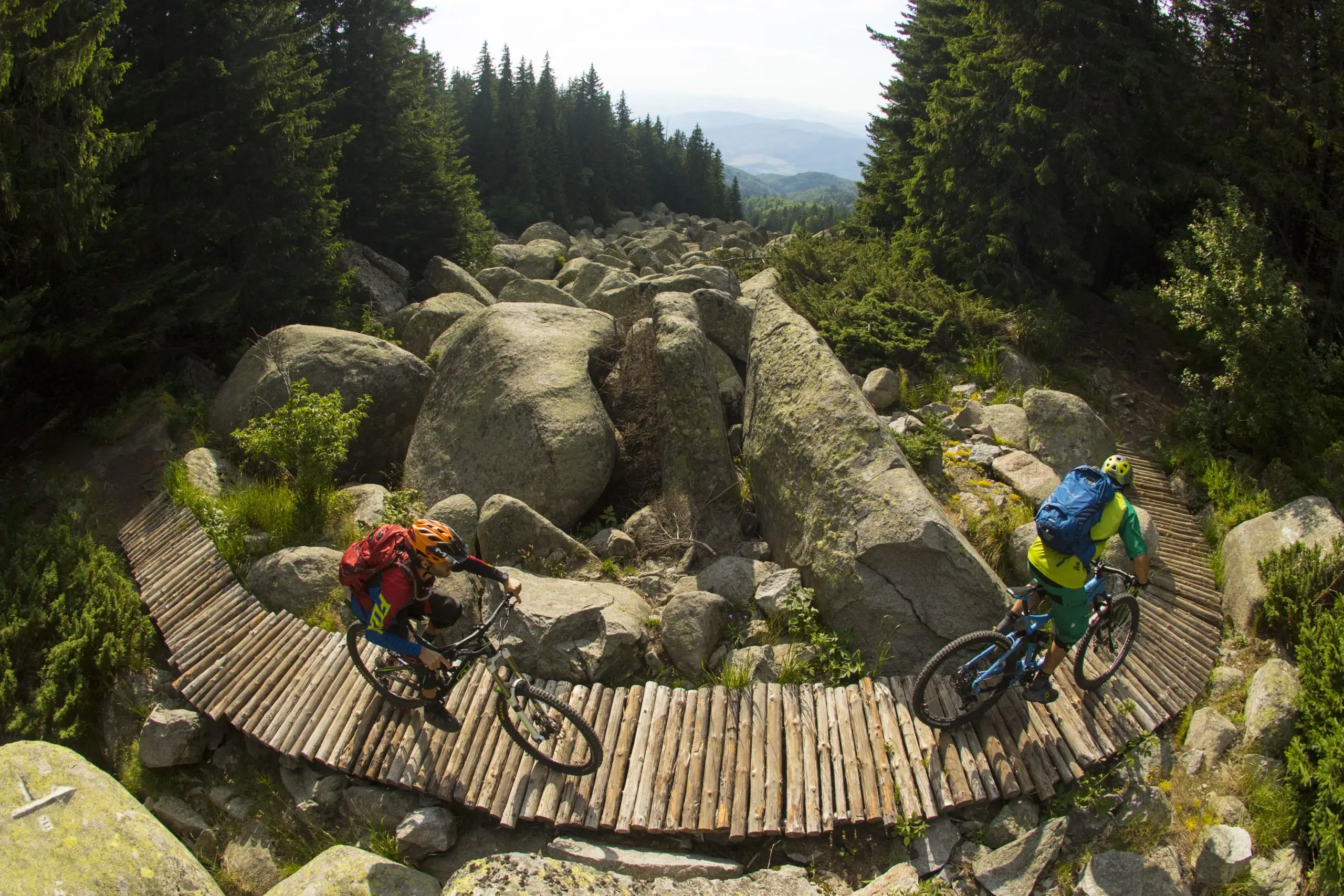 Свободата на самостоятелния път